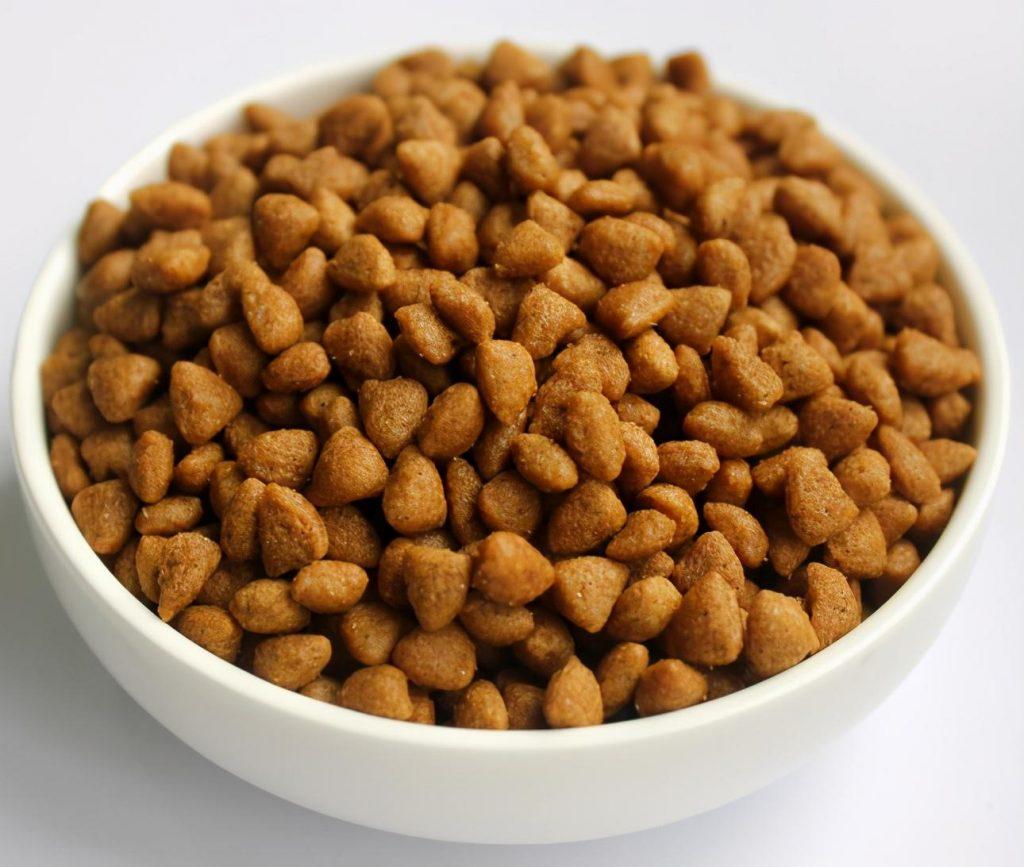 不同阶段的猫咪一天要能吃多少东西呢？(图5)