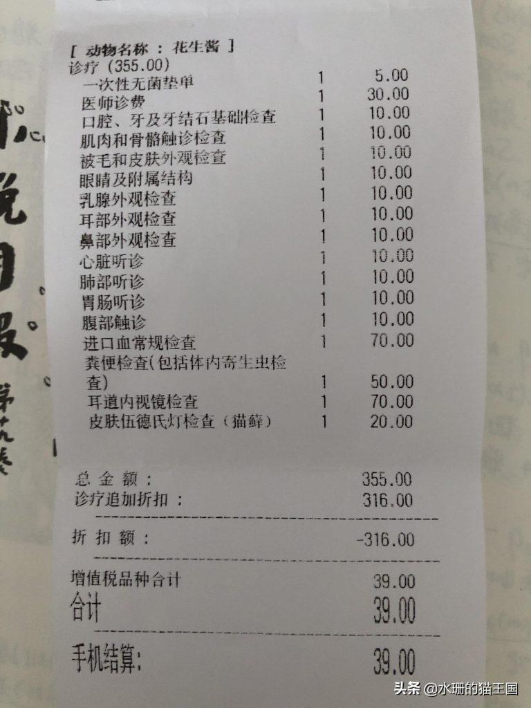 猫咪不光爱感冒发烧吗？给猫去看病到底有多贵？(图9)