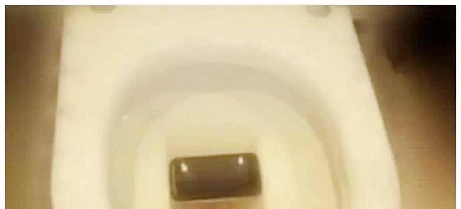 女子早上打算洗漱完 发现猫咪蹲在马桶旁边 走过来再一看 不很淡定了(图3)