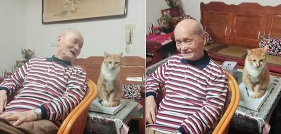 被收留橘猫5年 怕90岁老人反对过敢带回去家 而大家哄然变猫奴(图4)