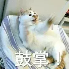 家里猫砂不就够了？教你几招民间自制应急(图1)