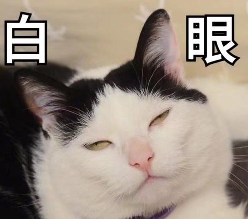 猫咪被公开的因佩尔 看见了网站公示后发飙 喵：贴这么说低给谁看呢？(图1)