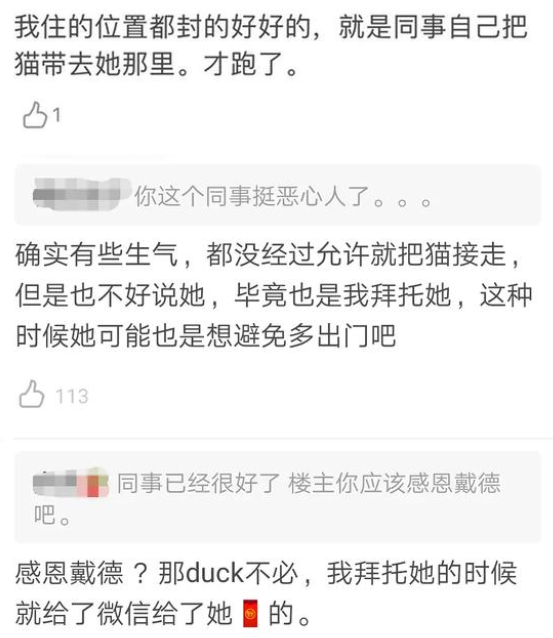 武汉同事暗黑帮帮忙喂猫 猫咪走丢了后 反遭主人发贴子吐糟！(图3)