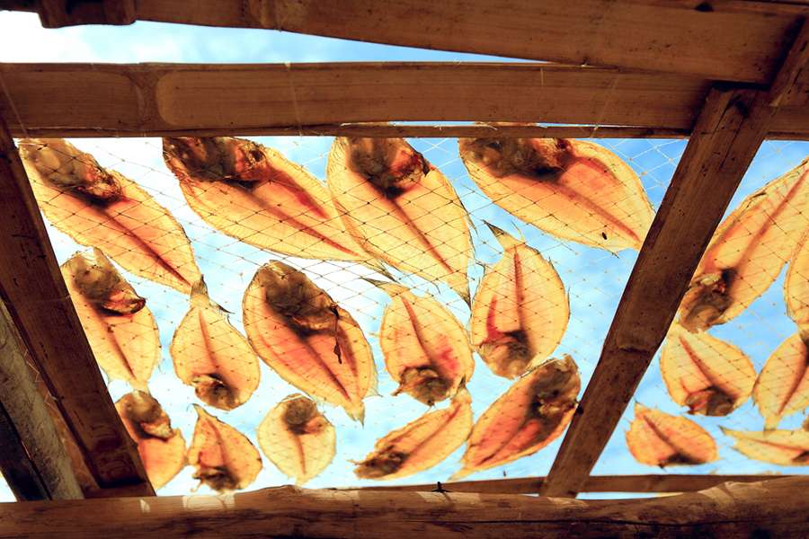 拿鱼干去屋顶晒 却突然发现猫咪躺在上面：那种感觉有点儿不不会有危险啊(图2)