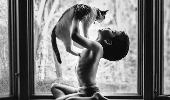 妈妈拍下儿子与宠物猫的互动整张照片流露出爱(图1)