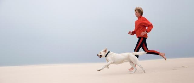 狗狗肥胖危害大 要如何给它现代自然科学瘦身减重？（狗狗胖了好多）(图3)