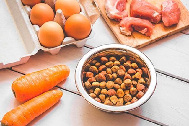 狗狗肥胖危害大 要如何给它现代自然科学瘦身减重？（狗狗胖了好多）(图7)