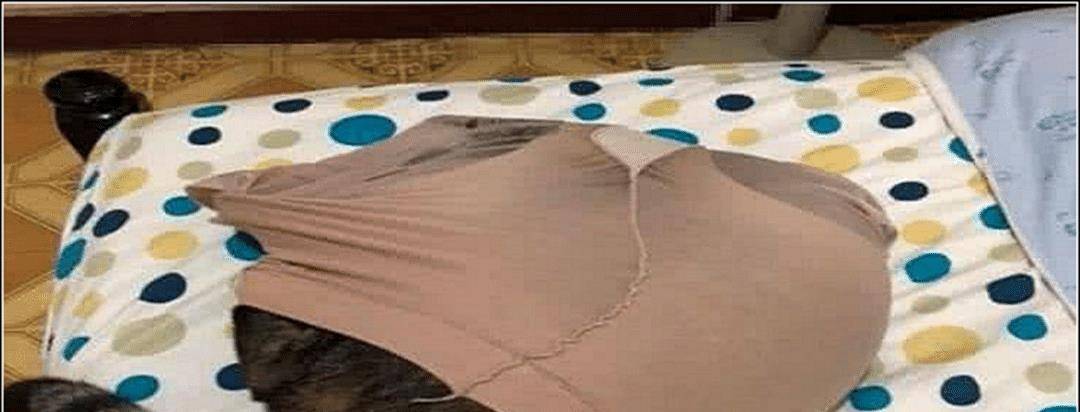 女子把丝袜放床上 隔天翻箱倒柜都能找到 走到猫窝看那愣住了(图2)