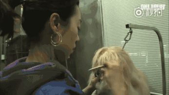 阿富汗猎犬 最难的事养但却最高贵的的狗！（阿富汗猎犬别名）(图2)