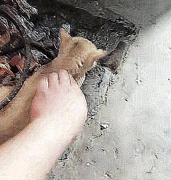 厨房传来一股烧焦味 认为炒菜太出格了 跑到里面后差点儿出猫命(图2)