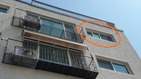 主人忘封窗 会使名贵品种猫从楼上跳下 可以找到时猫咪还在打抖(图3)