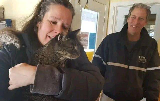 10岁老猫与主人5年后再再次相见 它眼就看出“妈妈”(图6)