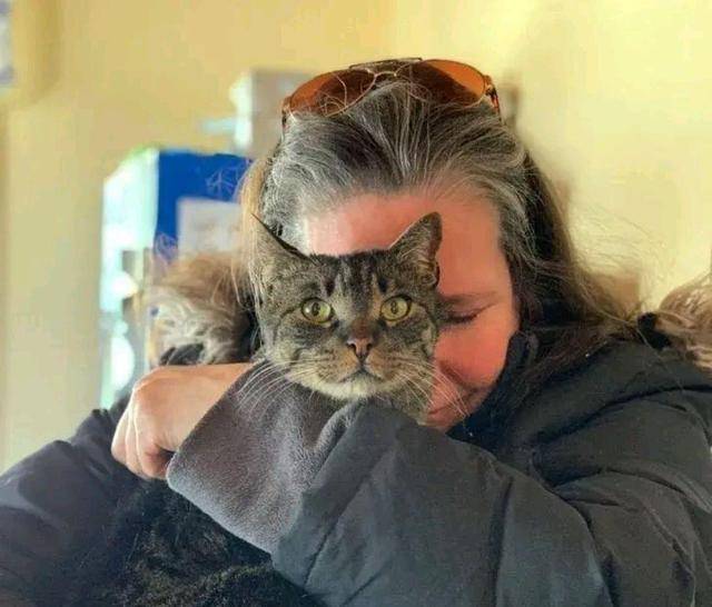 10岁老猫与主人5年后再再次相见 它眼就看出“妈妈”(图5)