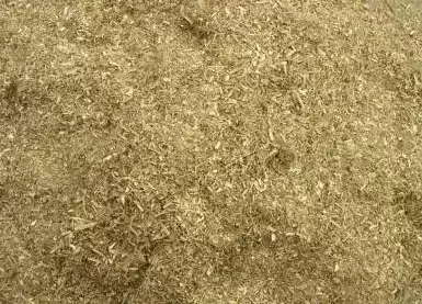 家里猫砂不够的了？教你几招想自己做应急办法(图5)