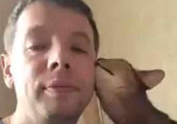 一只心机猫 假意向主人撒娇耍赖 却悄悄的去抓鸡腿 爪子伸的老长!(图1)