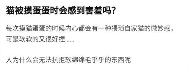 我家猫是个“露蛋狂魔” 现场早就控住忍不住了···(图13)