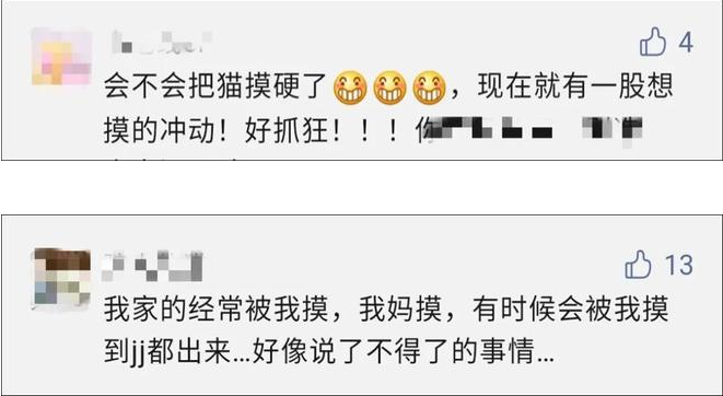 我家猫是个“露蛋狂魔” 现场早就控住忍不住了···(图14)