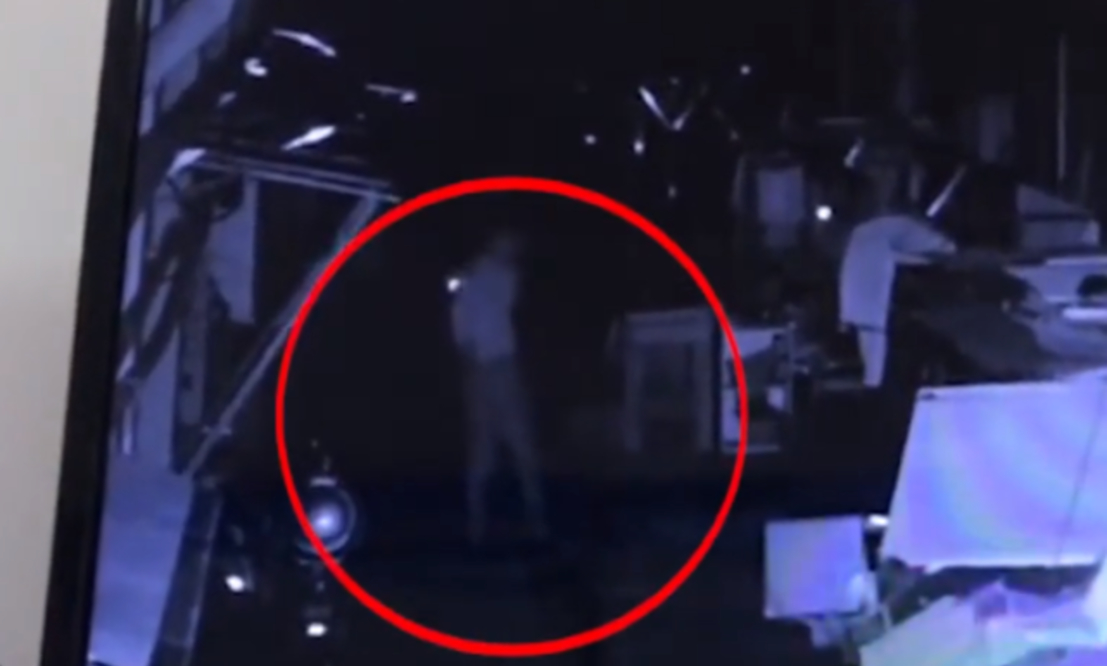 江苏一男子深夜真正的恶意一次棒打母猫致死 主人泪流满面:它才刚生产(图2)