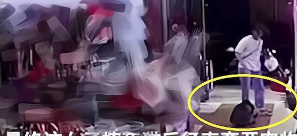 江西一女子退猫被拒 把猫活活被摔死 只因家里的公猫不很喜欢母猫(图3)