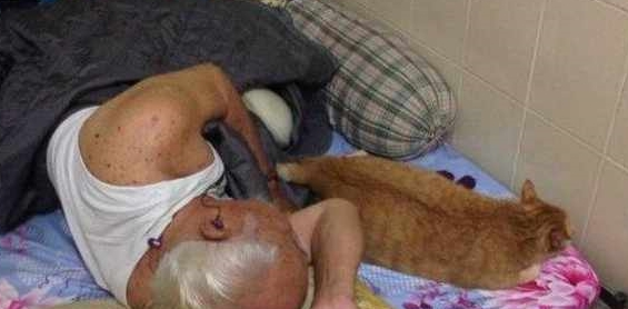 网友去外地出差前请爷爷照顾猫咪 回来时 爷爷：你快走你别碰我孙儿(图1)