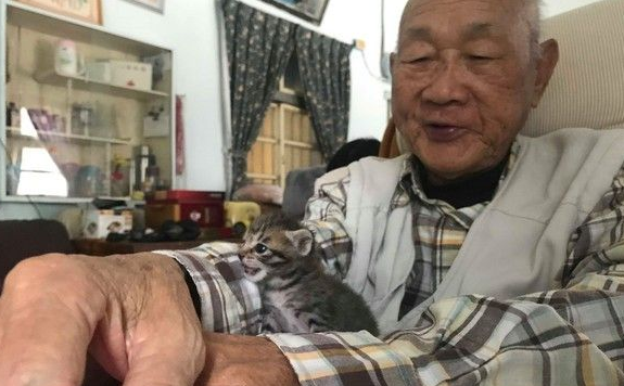互视怕猫的阿公和阿嬷终于我还是被猫被收服(图1)