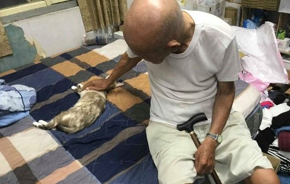 互视怕猫的阿公和阿嬷终于我还是被猫被收服(图2)