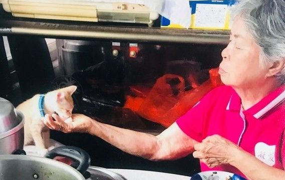 互视怕猫的阿公和阿嬷终于我还是被猫被收服(图3)