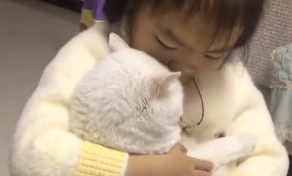 湖北一小女孩抱着猫咪写作业 猫咪眼神堆满爱意 画面温馨有爱！(图1)