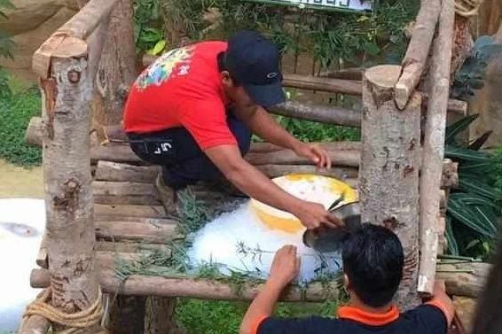 大熊猫暖妹喜度生日 惬意的享受饲养员厚布蛋糕 被奶爸细心照料从小！(图2)