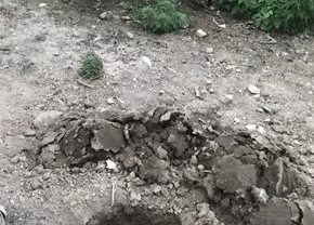 橘猫引诱小奶狗往坑里跳 猫：快来 跳继续就有肉吃(图3)