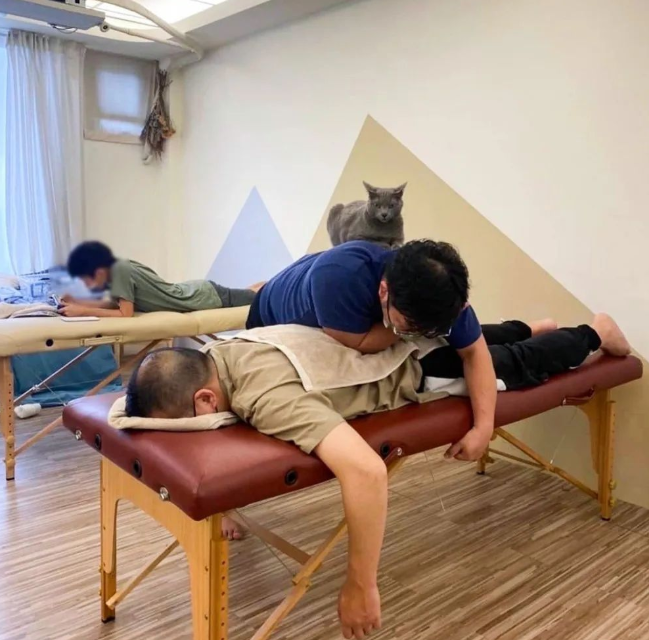 网友去推拿店按摩 没想到给他服务的是一位猫师傅～(图3)