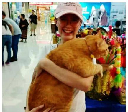 小姐姐带着橘猫去商场 发现自己周围人看自己 垂头这一看 瞬间清楚了(图2)