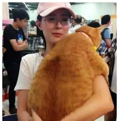 小姐姐带着橘猫去商场 发现自己周围人看自己 垂头这一看 瞬间清楚了(图3)