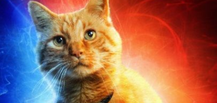 《惊奇队长》预告片网络曝光宠物猫身影萌化影迷(图1)