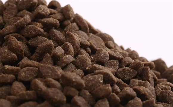 猫粮和狗粮有什么区别？(图2)