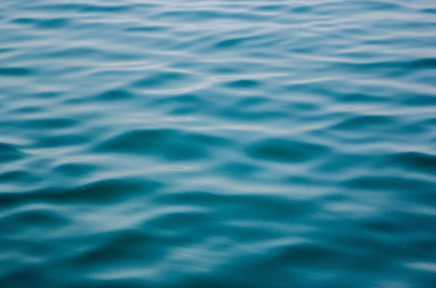 这位老爸是资深专业猫奴 买了双小爪袜子跟猫咪显摆显摆 把它们吓的不轻了(图2)