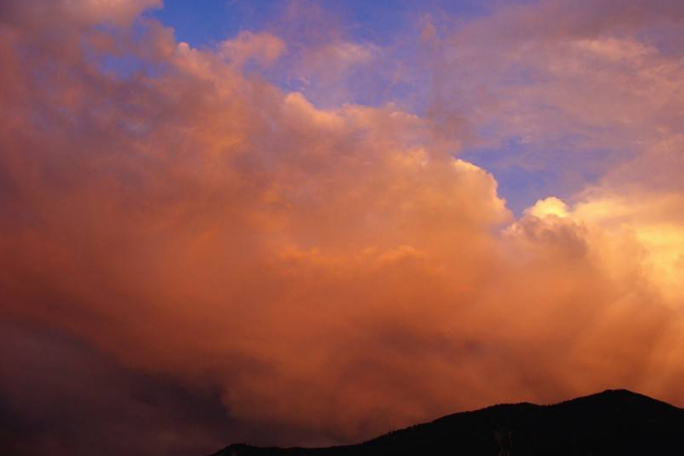 这位老爸是资深专业猫奴 买了双小爪袜子跟猫咪显摆显摆 把它们吓的不轻了(图7)