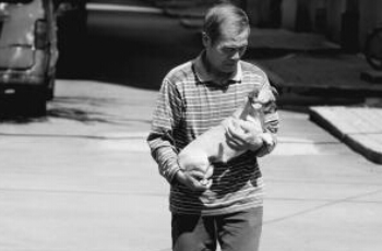 小区发现“毒奶片”狗猫鸟陆续亡(图1)