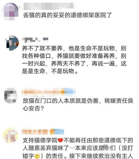 爱心网红靠流浪狗得百万打赏支持 猫德学院濒临破产 宠物经济真诧异(图4)