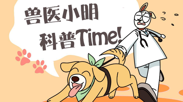 正打算人来取车时 发现玻璃前坐了3只猫：这是几个意思啊？(图4)