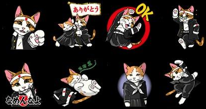 收留我野猫是可以能赚钱吗|29岁靠收养的流浪猫两年捞金几十亿 到现在为止还在赚(图12)