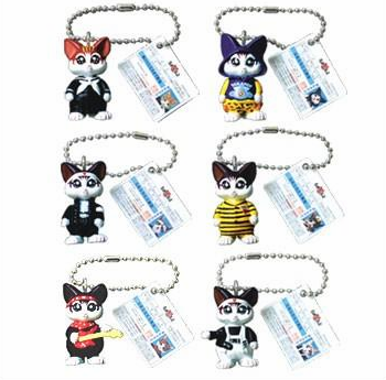 收留我野猫是可以能赚钱吗|29岁靠收养的流浪猫两年捞金几十亿 到现在为止还在赚(图13)