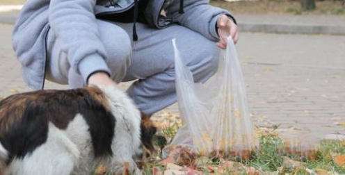 后两次在同一地点捡猫 附加猫包和猫笼 那个是隔壁大学放假几天了(图1)