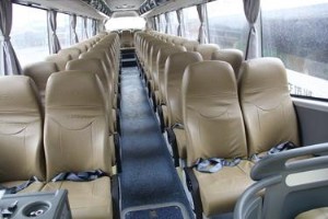 登封市宠物托运猫咪狗狗宠物运输-门对门来回接送(图2)