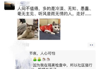 一线工作人员回家来才发现猫被活埋！Uzi女友男儿泪现场 难以控制情绪(图2)