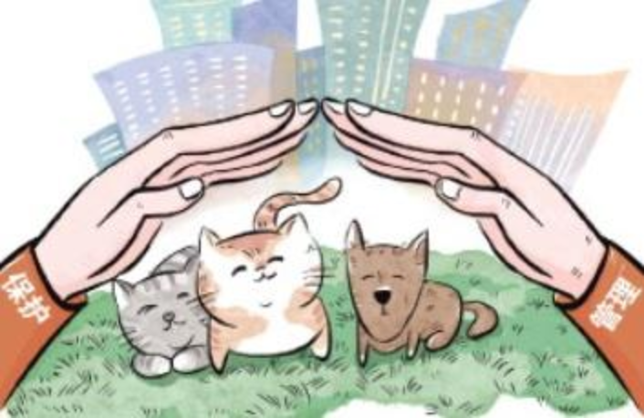 伤人惹人厌、消杀让人怜流浪猫狗数量剧增应怎么追究(图1)