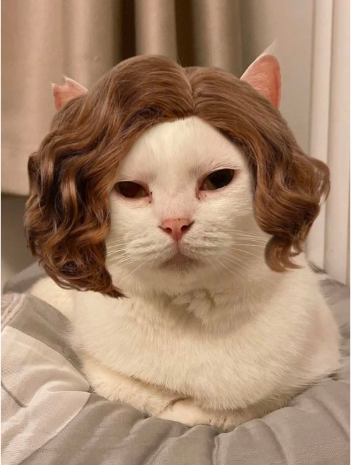 有人逃离医院 有人冲向灾区……只是因为家里的猫狗(图1)