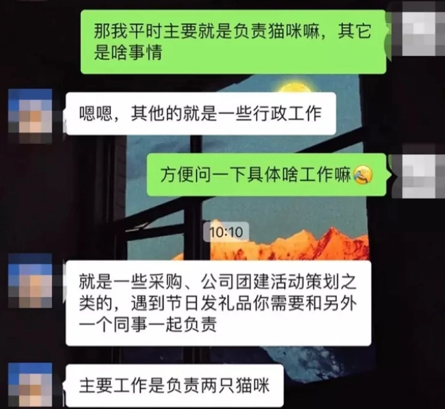 23岁女生“带薪撸猫” 月薪六千 朝九晚五还有一个休两天(图2)