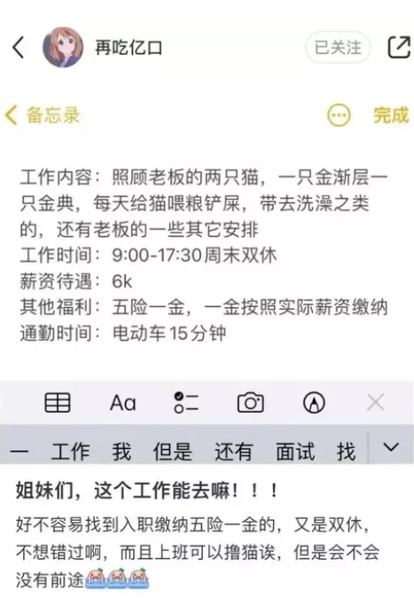 23岁女生“带薪撸猫” 月薪六千 朝九晚五还有一个休两天(图3)
