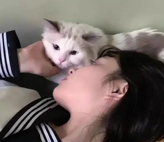 23岁女生“带薪撸猫” 月薪六千 朝九晚五还有一个休两天(图6)